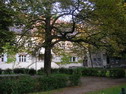 Ev. Gemeindegarten an der Glaubenskirche, Foto: JJ
